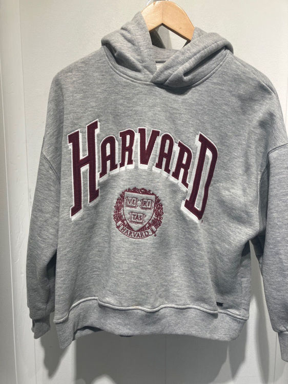 Billede af grå stor sweatshirt