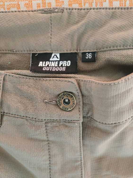Billede af Alpine pro